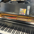 1899 Steinway ice cream cone model A grand piano with PianoDisc player system - Grand Pianos